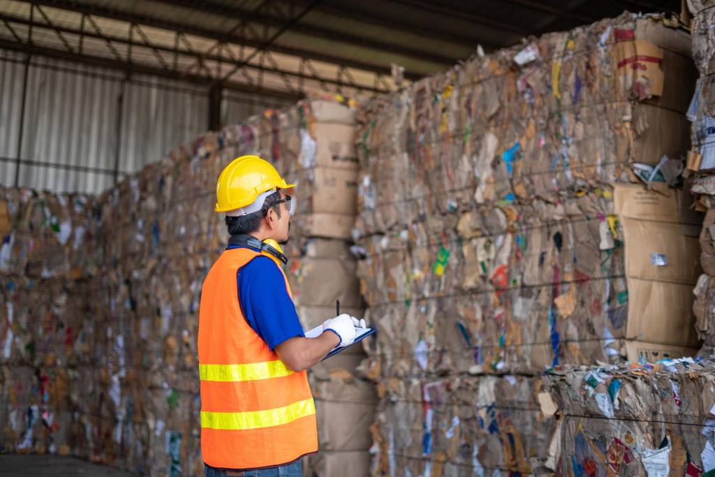 CleanFiber quer transformar milhões de toneladas de caixas de papelão em isolamento